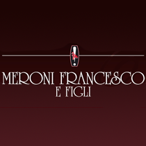 Meroni Francesco